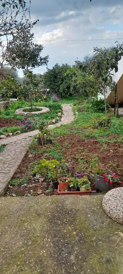 A Modern Farmhouse With Big Garden Trápeza 외부 사진